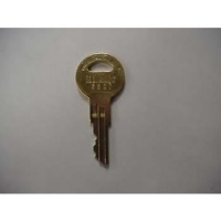 An image of item: MANAGER KEY